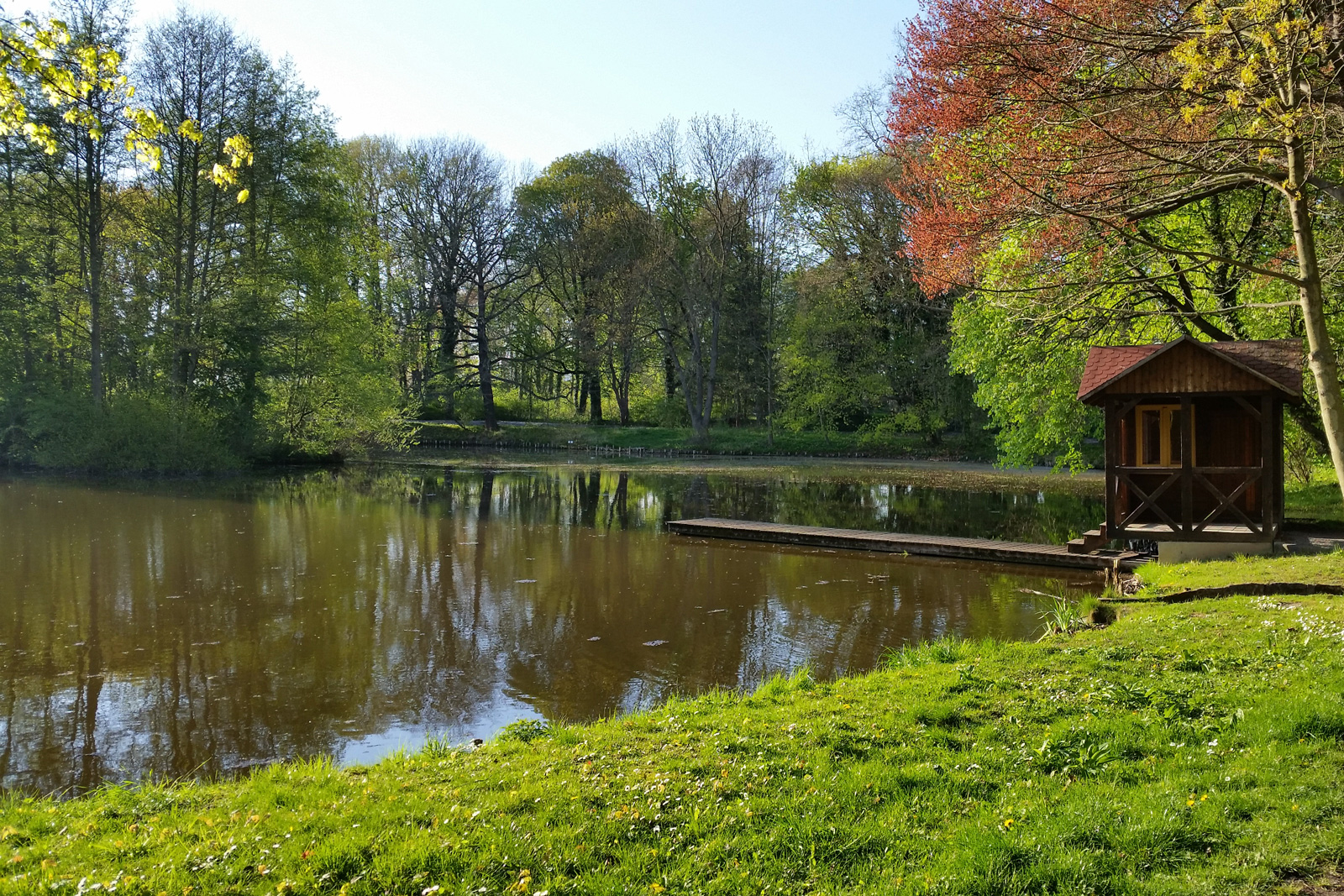 Dorfteich Seebach