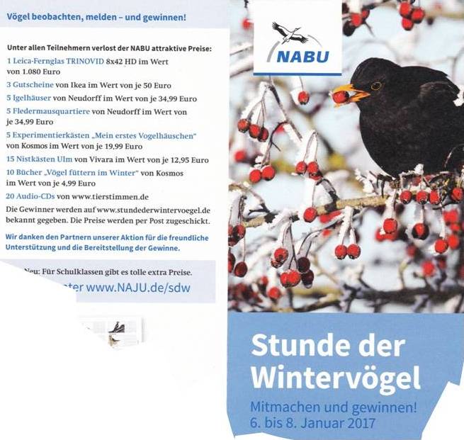 Stunde der Wintervögel