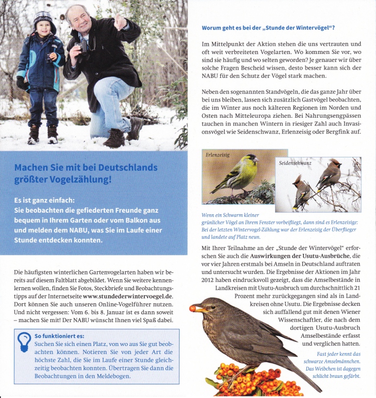 Stunde der Wintervögel