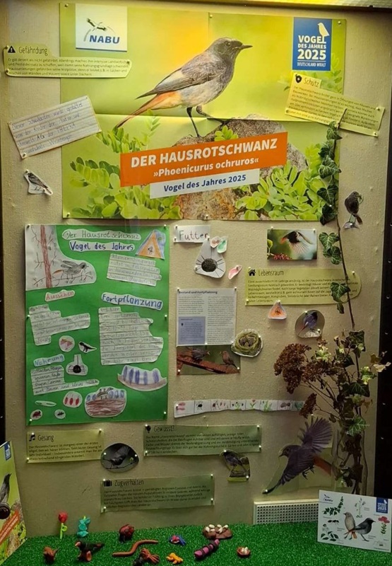 Vogel des Jahres 2025